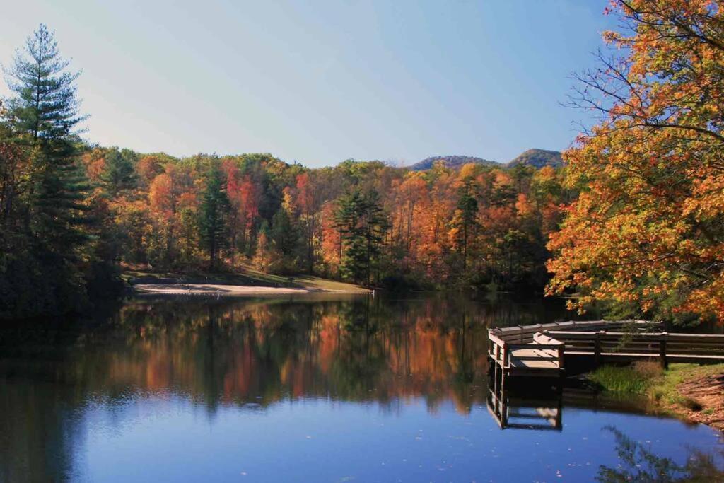 Bluebirds Nest 10 Min To Avl Biltmore Hot Tub Cont Bkfst Sparkling Water Asheville Dış mekan fotoğraf